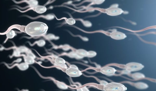 «El efecto de los químicos en nuestro sistema reproductivo amenaza la supervivencia humana»: Shanna Swan, epidemióloga autora de «Cuenta atrás»