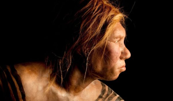 Cómo nuestra huella genética neandertal influye en el sueño, el humor y en la respuesta a la covid-19