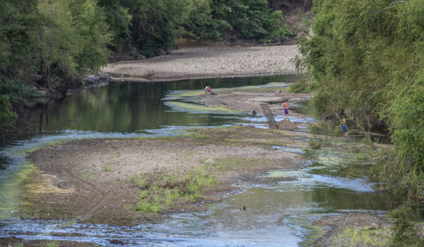 El ocaso del río Coco: despale y riego aceleran su sequía