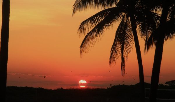 Cambio climático: qué hace una «jefa de calor», el inédito cargo creado en Miami para combatir un «asesino silencioso»