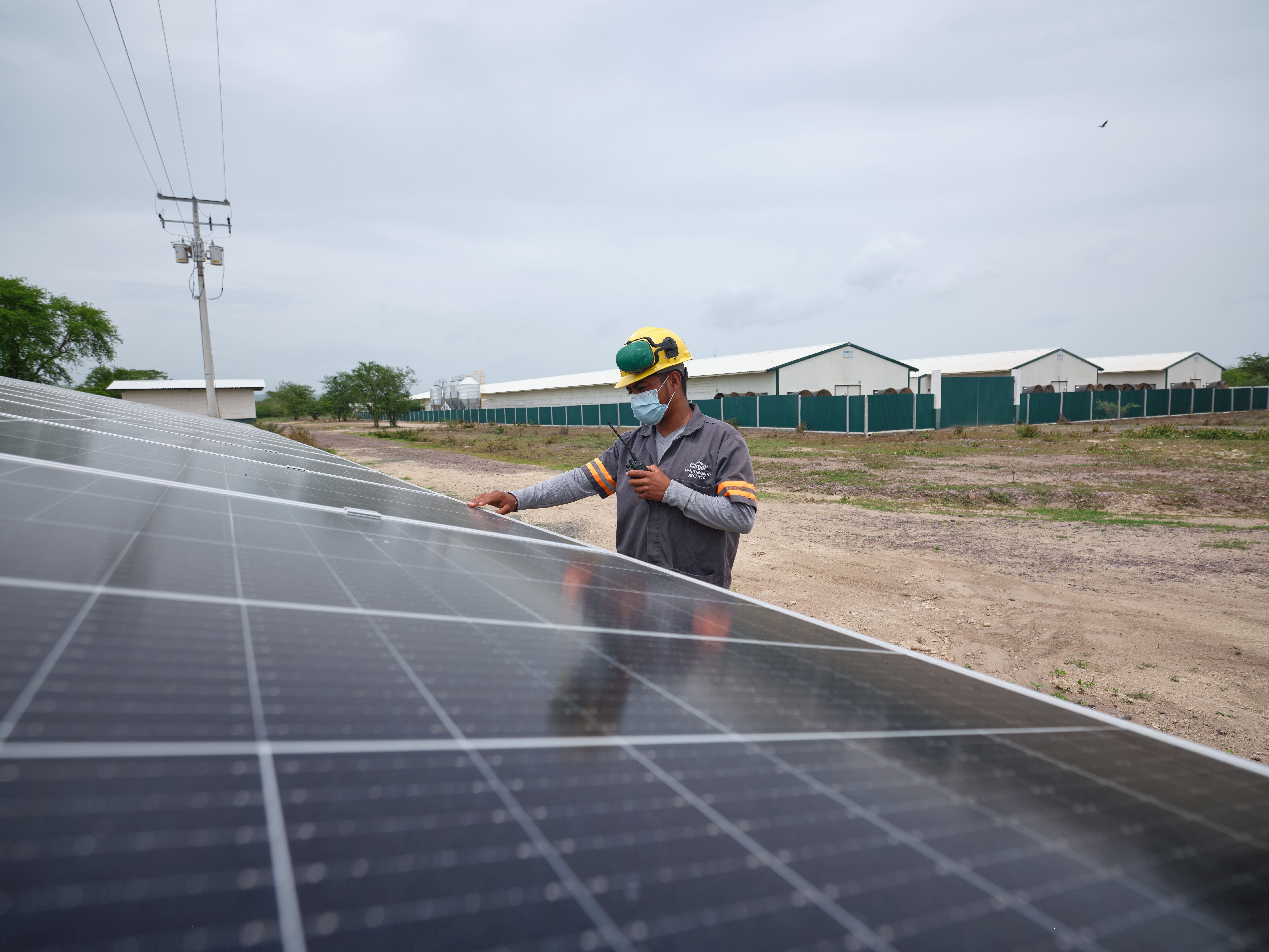 Cargill instala parque solar