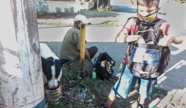 Joshua, el niño capitalino que alimenta perritos de la calle desde hace tres meses