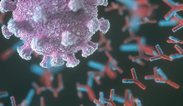 Coronavirus: ¿qué son los autoanticuerpos y qué tienen que ver con la covid-19 grave?