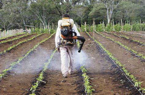 Insumos agropecuarios