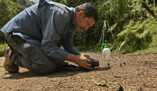 Juan Guillermo Jaramillo