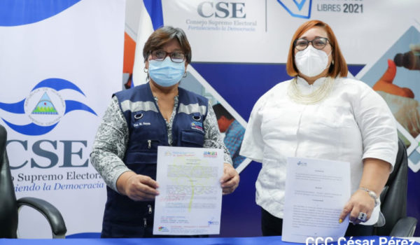 CSE anuncia que campaña electoral será principalmente virtual y enfatiza sobre leyes restrictivas
