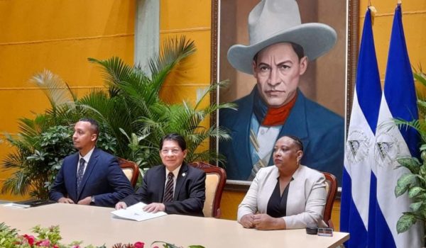 ¿Qué hay detrás de los argumentos del régimen ante la OEA?