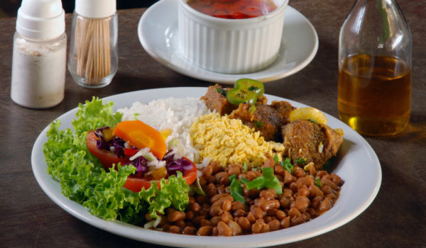 plato de Harvard