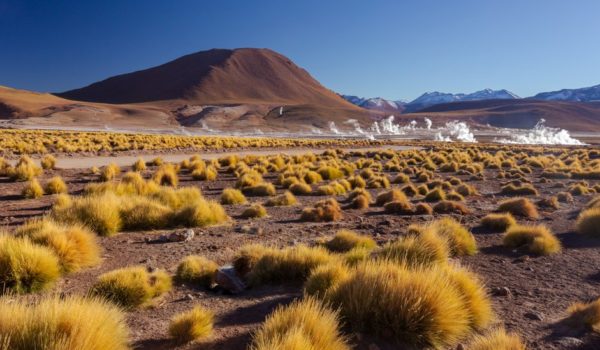 Cómo es la «mina de oro genética» que hace posible la vida en el desierto de Atacama, el más seco del planeta