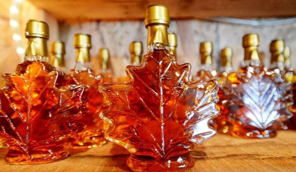 Por qué Canadá tiene una reserva estratégica de miel de arce (cuyo barril vale 20 veces más que uno de petróleo)