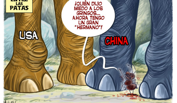 Caricatura 11-12-2021