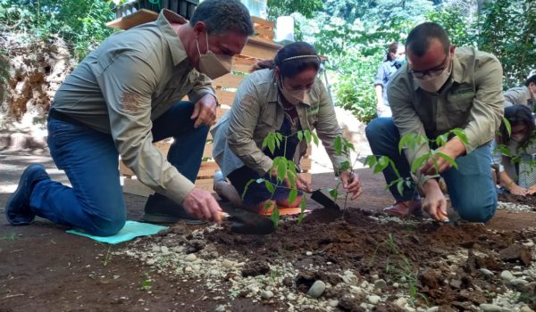 Nestlé lanza Bosques del mañana