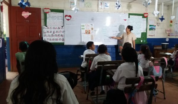 clases, docentes, educación,
