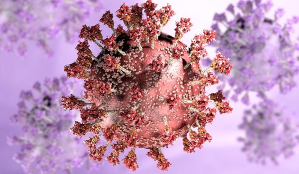 Ómicron: la nueva variante aumenta el riesgo de reinfección por coronavirus, según un estudio preliminar en Sudáfrica