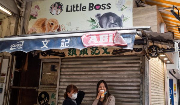 El sacrificio de hámsters en Hong Kong al sospechar que son el origen de un brote de contagios de covid