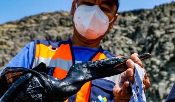 Perú declara la emergencia ambiental por el derrame de petróleo provocado por el tsunami en Tonga