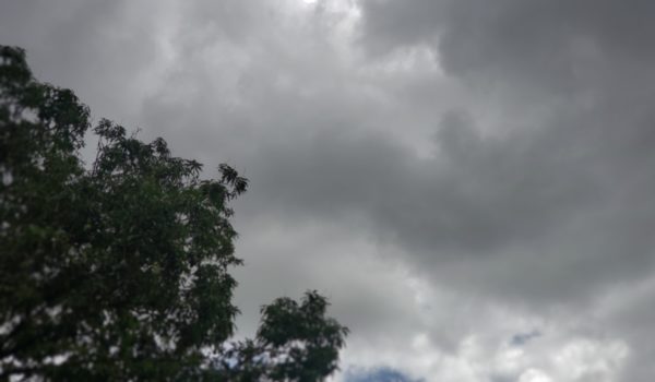 lluvias,