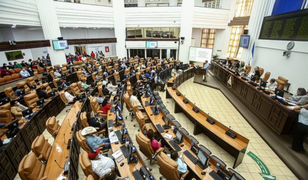 Asamblea Nacional aprueba de urgencia ley que regula y controla a las oenegé