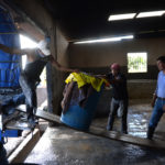 Cuando los queseros no producen leche suficiente, la compran a otras fincas. LA PRENSA/ JADER FLORES