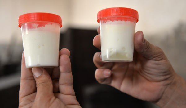 Pruebas que se le hacen a los barriles de leche. El de la izquierda indica que la leche no fue adulterada con agua. El de la derecha dice que se le echó agua al barril de leche. LA PRENSA/ JADER FLORES