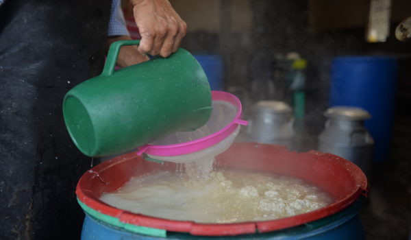Echando agua caliente a la brosa para hacer quesillo. LA PRENSA/ JADER FLORES