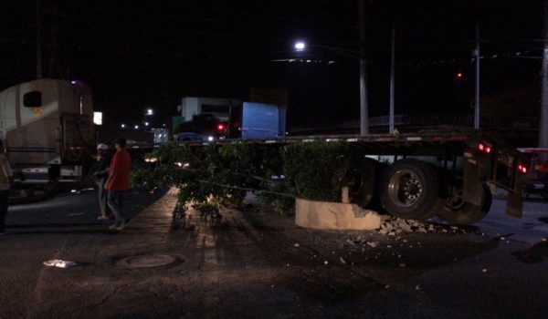 Rastra se pasa llevando el famoso Arbolito, punto de referencia en Managua