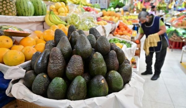 La amenaza del crimen organizado que paralizó la millonaria exportación de aguacates de México a EE.UU. (y cómo afecta a ambos países)