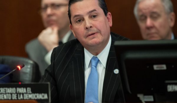 Funcionario de la OEA se pronuncia, tras denuncia del exembajador Arturo McFields: «Ratifica la enorme y la grave crisis de derechos humanos»