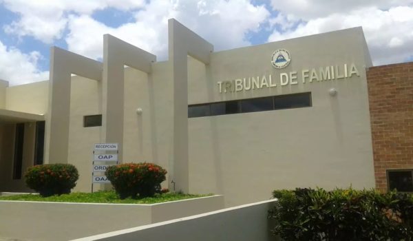 ¿Se puede demandar por pensión alimenticia a una persona que migró? Esto dice una abogada