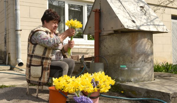 En medio de la guerra, las flores de primavera adquieren tintes patrióticos en Ucrania