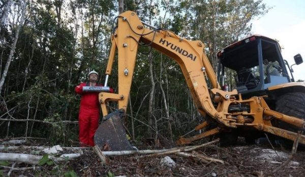 Tren Maya: un juez mexicano paraliza la construcción de un tramo de la polémica infraestructura, uno de los proyectos emblemáticos de AMLO