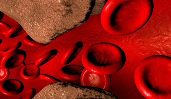 Colesterol: la biomolécula que nadie quiere en su cuerpo y sin la cual estaríamos muertos