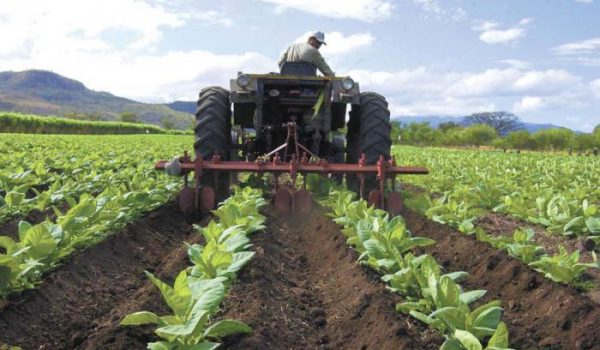 sectores económicos, Nicaragua