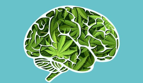 Cómo el consumo de marihuana afecta nuestra mente, según nuevos estudios