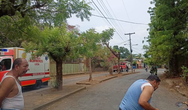 Un poblador del reparto San Mateo busca como protegerse de las abejas africanizadas. LA PRENSA* Cortesía Benemérito Cuerpo de Bomberos de León. LA PRENSA.