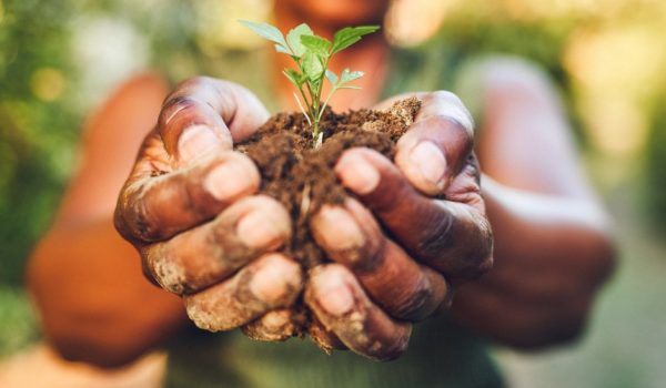 Los alimentos del futuro: ¿qué comeremos en 2050?