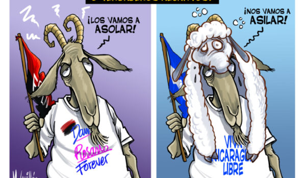 Caricaturas 28-06-2022