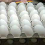Fuerte aumento en el consumo de huevos en Nicaragua, pese a elevados precios