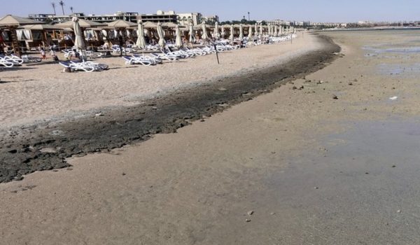Egipto cierra sus playas en el mar Rojo luego de una serie de ataques de tiburones