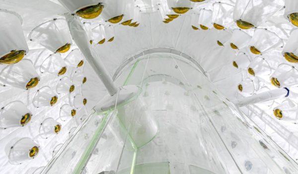 Así es «el lugar más puro del planeta» en el que los científicos buscan la misteriosa materia oscura