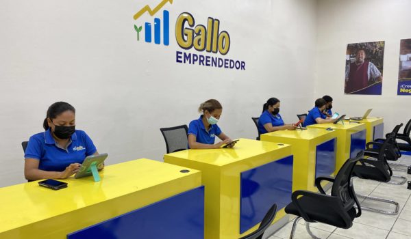 Lanzamiento de Gallo Emprendedor