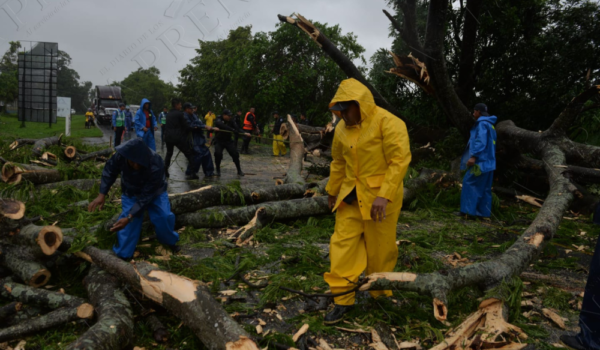 Tormenta Bonnie genera intensas lluvias en el sur de Nicaragua y vientos fuertes botan árboles en carretera panamericana