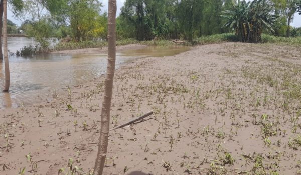 Comunidades de la Costa Caribe sufren inseguridad alimentaria, tras inundaciones por lluvias
