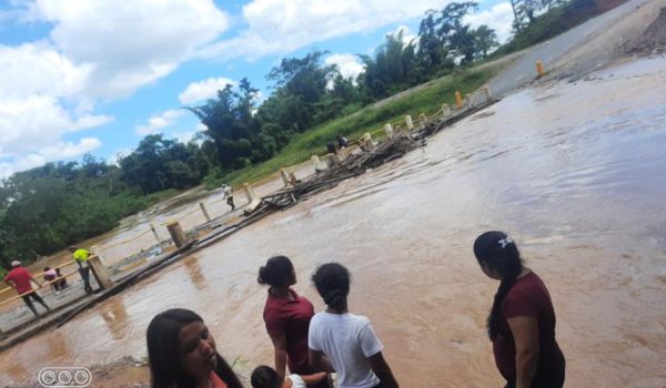 Ríos desbordados, árboles caídos y personas desaparecidas es el saldo de las últimas lluvias