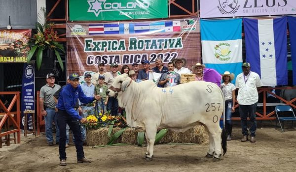Ganaderos de Costa Rica celebran Expica rotativa