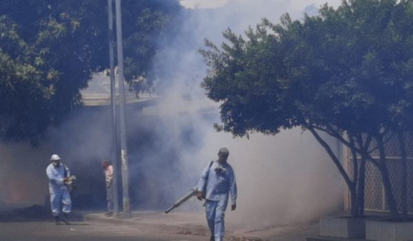 Casos de dengue este año en Nicaragua ya superan los registrados en el 2021