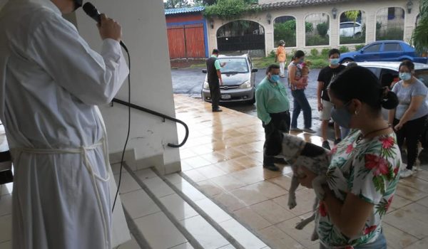 Policía prohíbe procesión que bendice a los animalitos