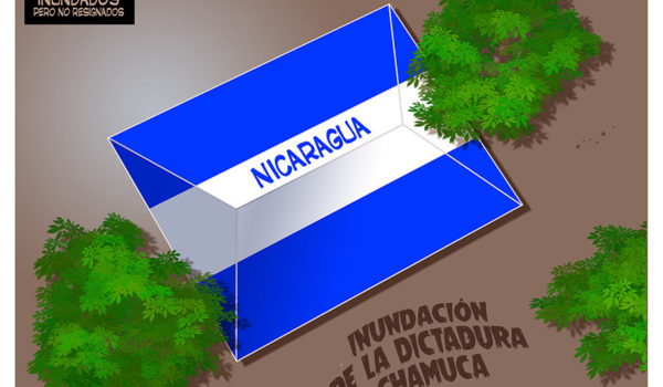 Caricatura 14-10-22