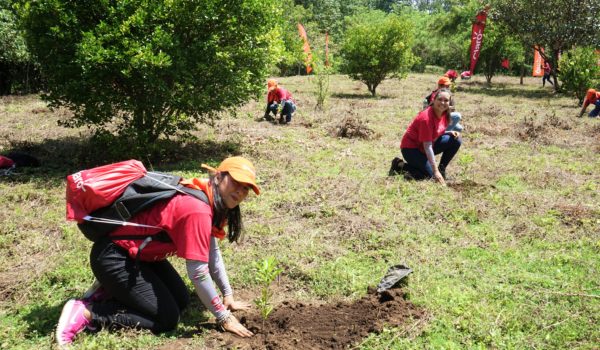 Jornada de reforestación Salva lo Bonito