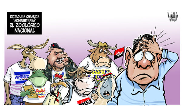 Caricatura 16-10-22